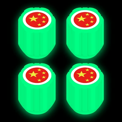 Electric Vehicle Motorcycle Vacuum – valve - flag