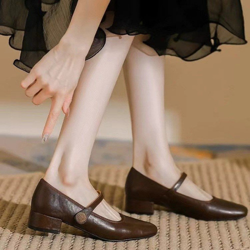 Brown Mary Jane Flat Shoes for Women 2025 Spring and Autumn French Style with Skirts, Elegant Rough Heel Leather Shoes