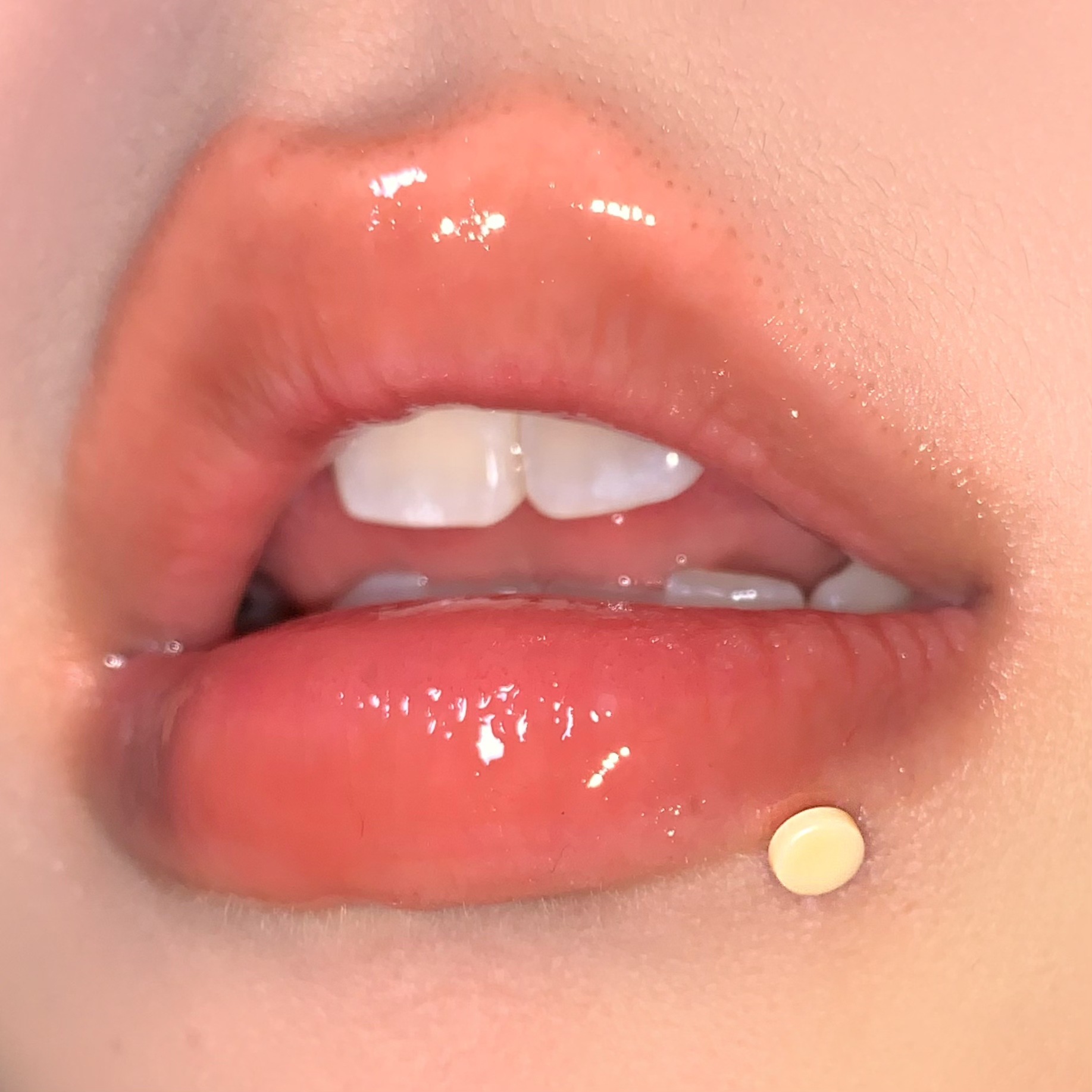 16G labret stud size and finish detail