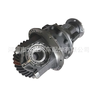 rear axle main reducer – Differential assembly