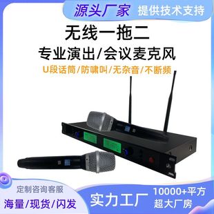 Wireless Dual Handheld Microphone for Home Use, Professional Performances, Hosting Conferences, Karaoke, Weddings, U-Band, Professional Grade