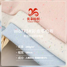 240g彩点毛巾布 32s人棉针织毛巾布 时装T恤家居服女装卫衣面料