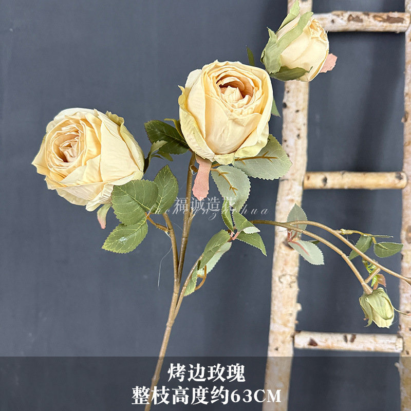 구운 가장자리 장미