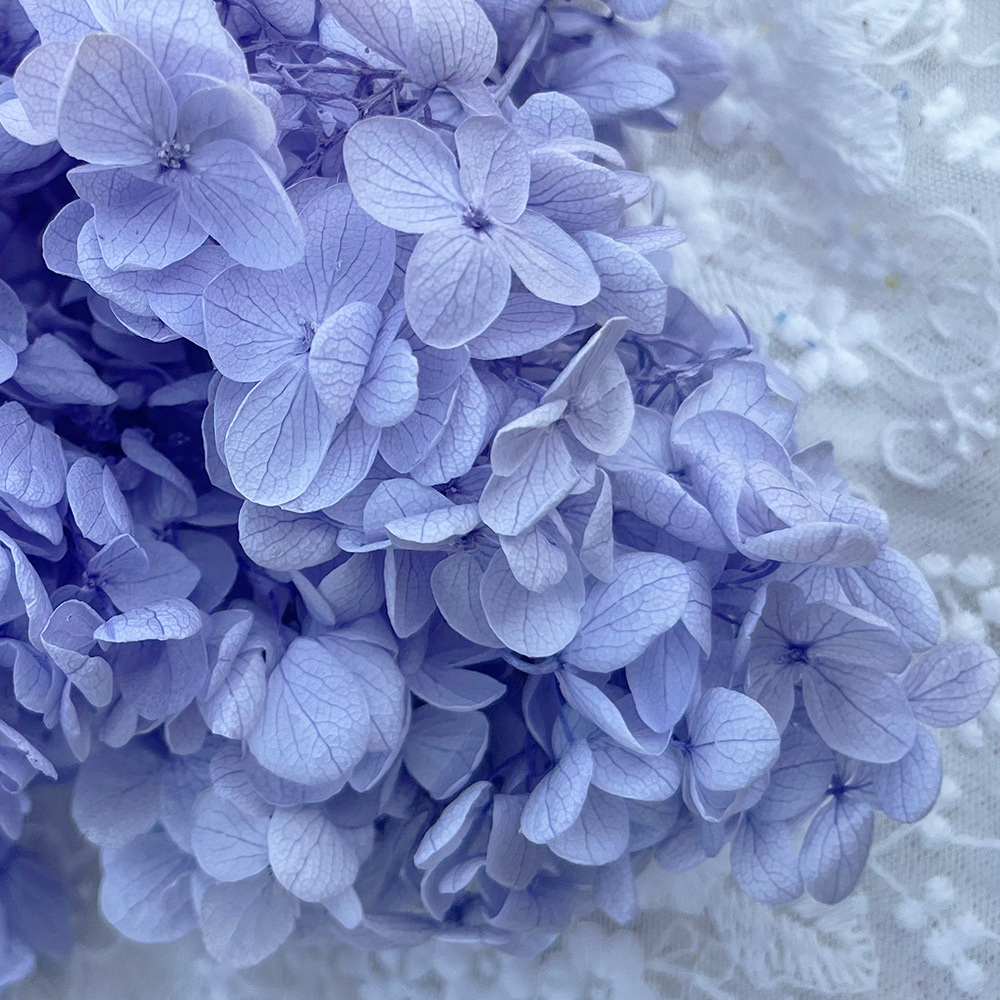 Flor mágica Diy Flor eterna A Material de hortensia de madera 100g Material de flor real Flor seca Unicornio Sentido avanzado Matrimonio en casa