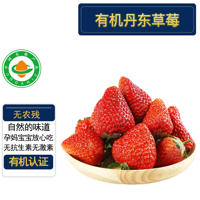 Premium Authentic Dandong 99 Organic Strawberries, Certified Organic, Pesticide-Free, Freshly Picked and Ready to Eat, No Need to Wash, Safe for Babies to Eat