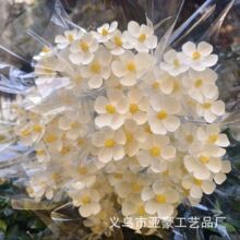 紫罗兰干花小清新家居插花摆件瓜子花文心兰手工花花束DIY插花