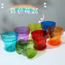 彩虹色高颜值多巴胺塑料花盆新年喜庆蝴蝶兰绿植透明耐用花盆挂墙