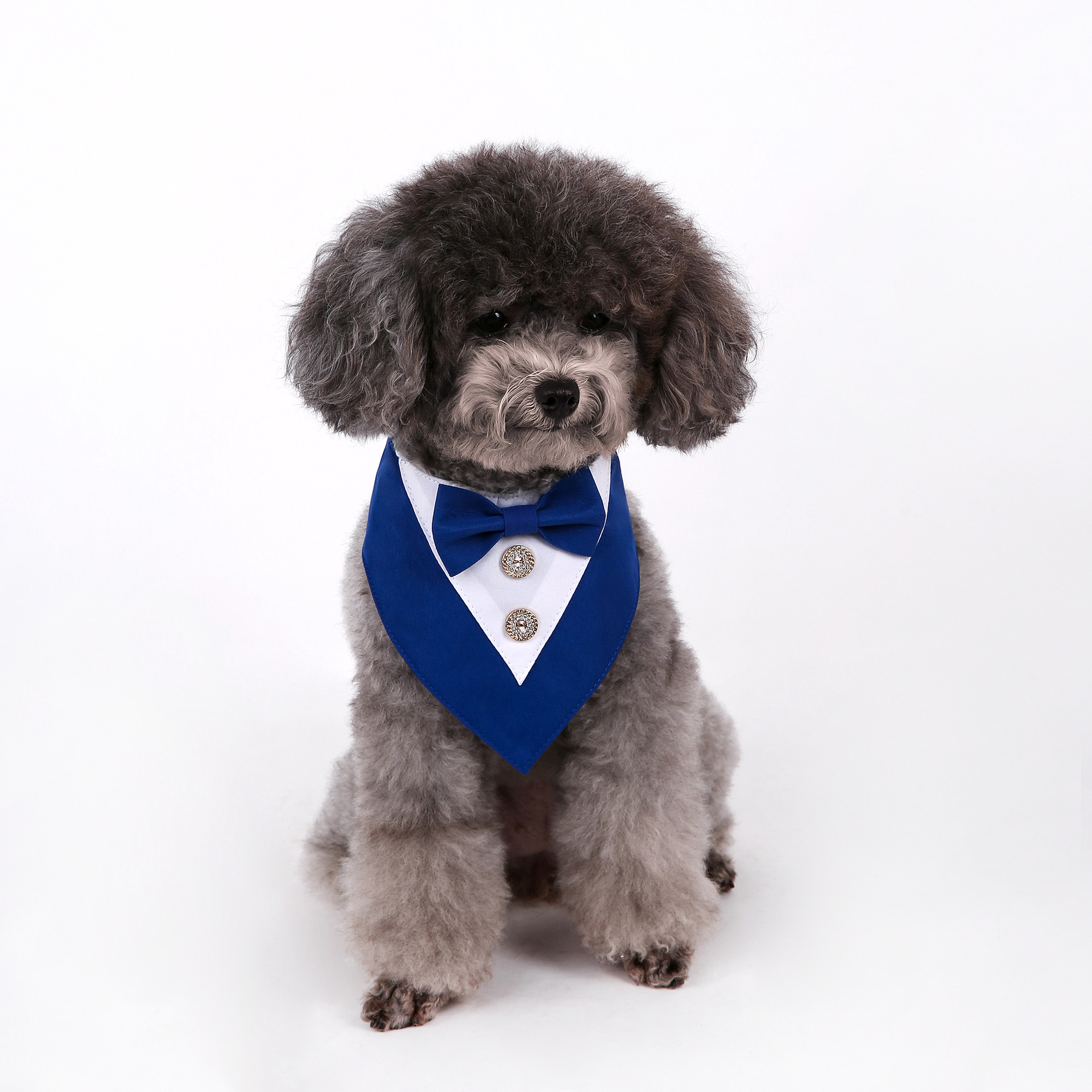 Navidad Año Nuevo Spot transfronterizo boda británica trajes toallas para mascotas bufandas perros velcro toallas para mascotas triángulos