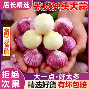 2025���^��ɴ����^���r������Ƥ�A�^����t����5���߲ˮ����߲�