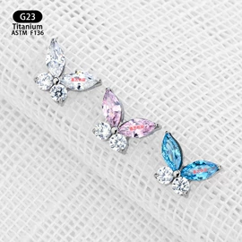 其他穿刺饰品;鼻饰;耳廓、耳扩