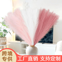 ���柟���JȔ�羳��R�dins�L������Ȕ ����˹�ݹ�β�ݙ����b�