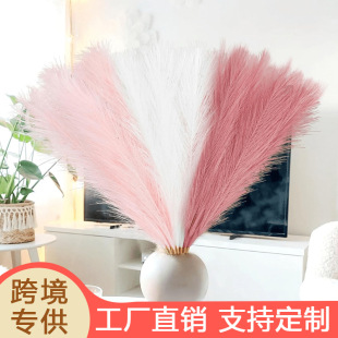���柟���JȔ�羳��R�dins�L������Ȕ ����˹�ݹ�β�ݙ����b�