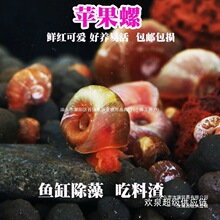 �O���ݳ������~���坍�����ݳ��匙���ݞ������R���^�~���w�