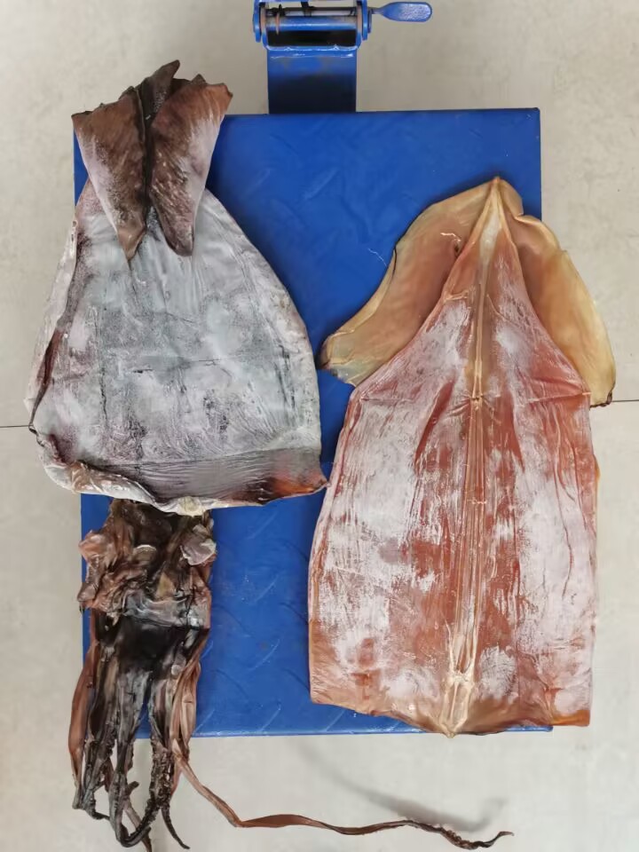 QQ图片20230627125952