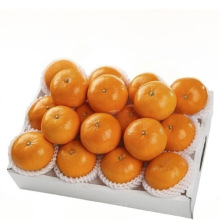 ���ڏV���ָ̽����rˮ��������������������ɳ������ɰ�Ǹ���