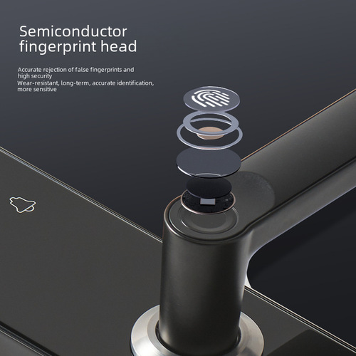 New apartment homestay wooden door anti-theft door lock graffiti Tuya universal TTlock electronic password smart fingerprint lock