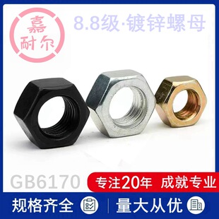 ��\�ߏ�����ñ8.8��GB6170�m���\��ĸm12m16m20m24m30�S���\�_ĸ