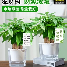 Ulؔ҃GֲˮֲؔkҾGֲλ[