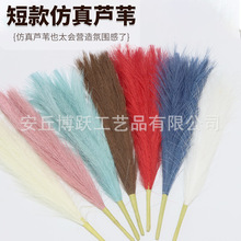 �羳��������˹�ݷ��滨�����JȔ�Ҿ��b�����ë��c�������l