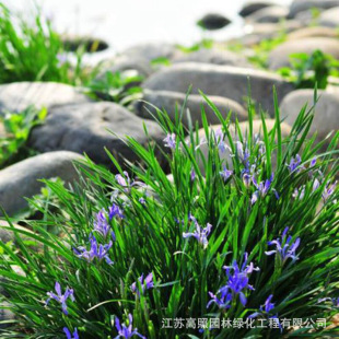 �R�m���� �G���� �ͺ���ؚ��҃��̨����ͥԺֲ���R�A���F؛