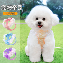 ���������K����ʽС��Ȯ�����ر���̩��С����Ȯ�޹��K�����С؈