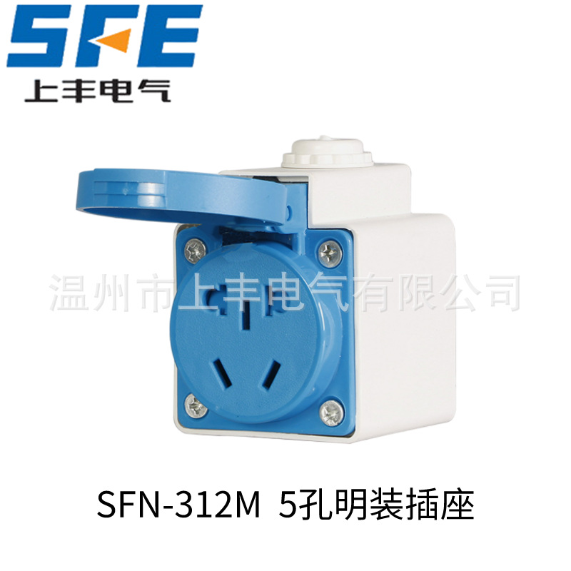 多功能插头插座欧式2孔 5孔312M明装