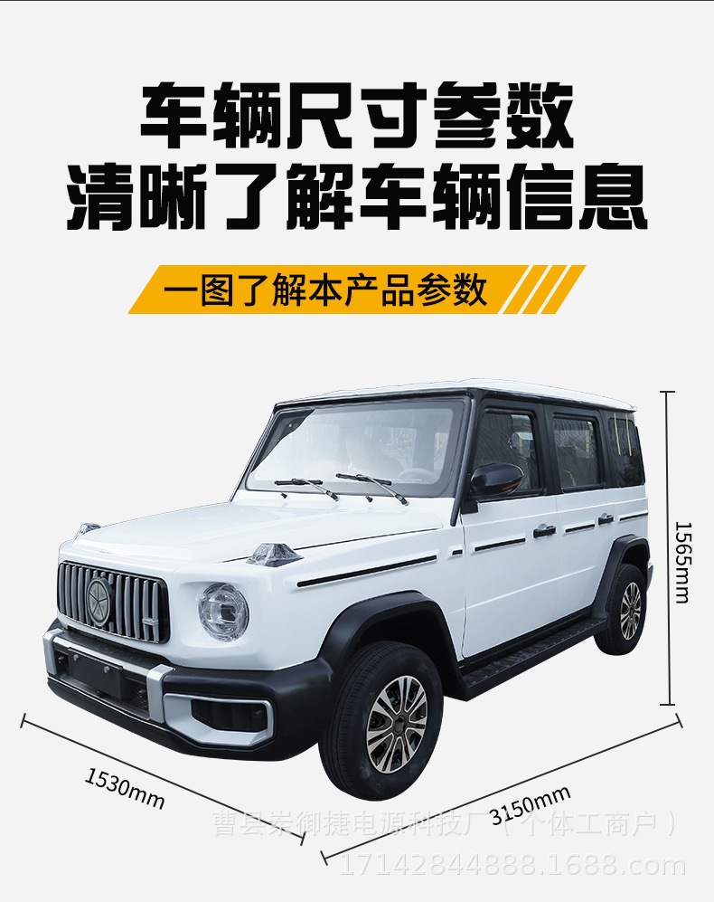 Oil-Electric Hybrid 4-Wheel Electric Car for Women