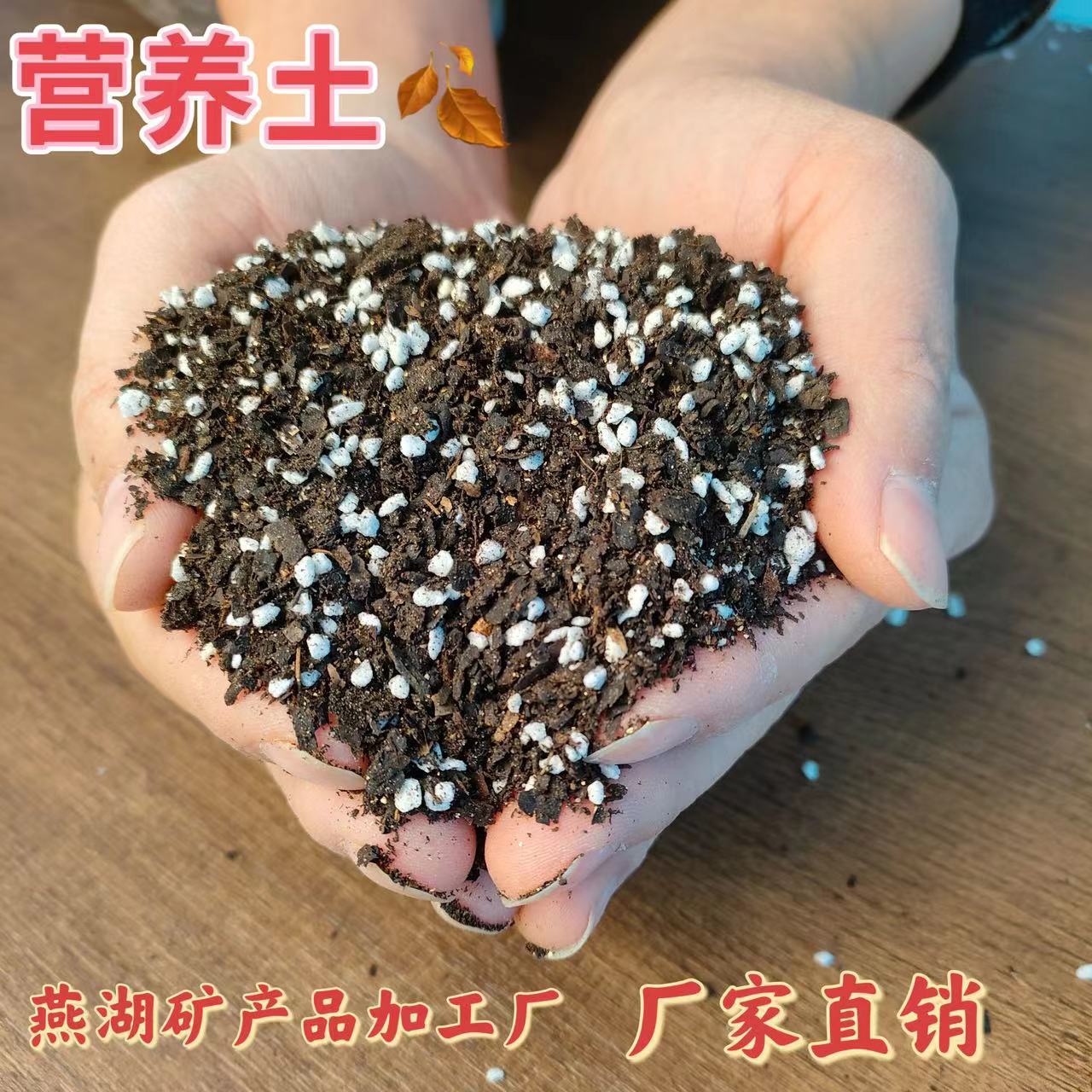 营养土泥炭土松针种菜专用土草莓土养花多肉种植土绿化泥炭有机土