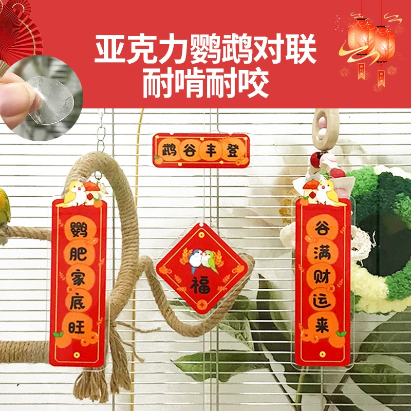 Маленький питомец китайский Новый год куплет попугая