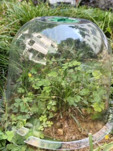 ���籣����ֲ���^�����B�a��������ů�Ӂ��莧�w�ӱ��o������