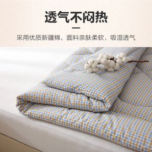 Mattress Base Winter Cotton Mattress Double Bed Mattress Household Large Kang Old-Fashioned Mattress Fire Kang Mattress