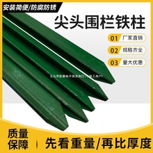 �����F���������F�z�W���ڗU���Pţ�ھW�����T�F���^���Bֳ����