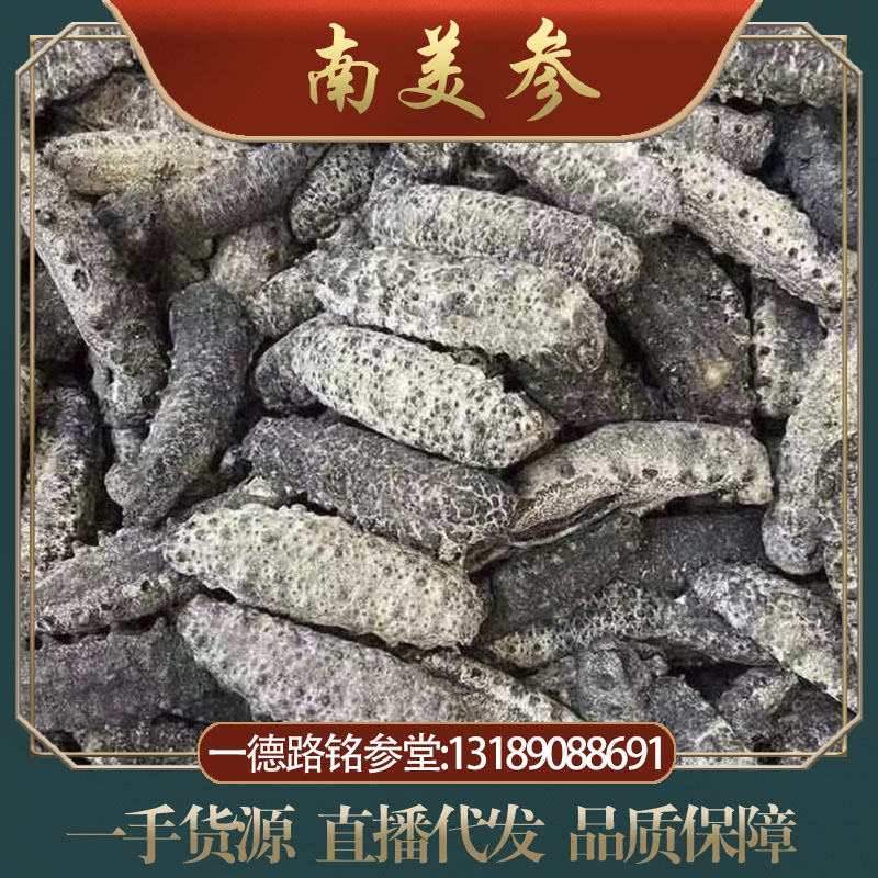 wholesale Deep sea Dried sea cucumber South America sea cucumber Aquatic products Seafood dried food sea cucumber Tonic Ingredients