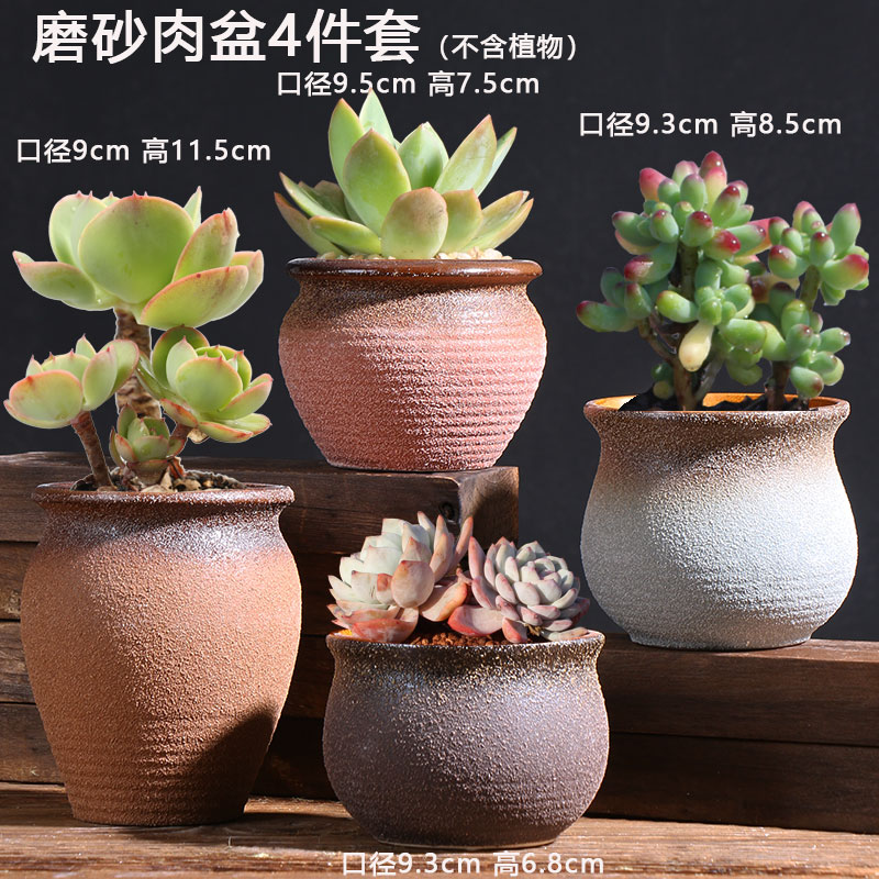 반투명 고기 대야 4종 세트