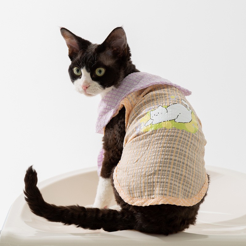 Primavera y verano lindos gatos rayos de dos patas falda sin pelo gato chaleco pareja vestido vestido vestido de gato mascota ropa de gato