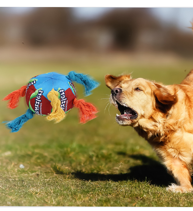 Wholesale Hot Rainbow pet dog toys grinding teeth being tough bite making sounds Pet toys