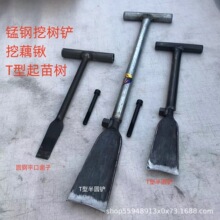 �i��ژ��P��ź�@����P��T���������Ӷ������������ڹS�N���P