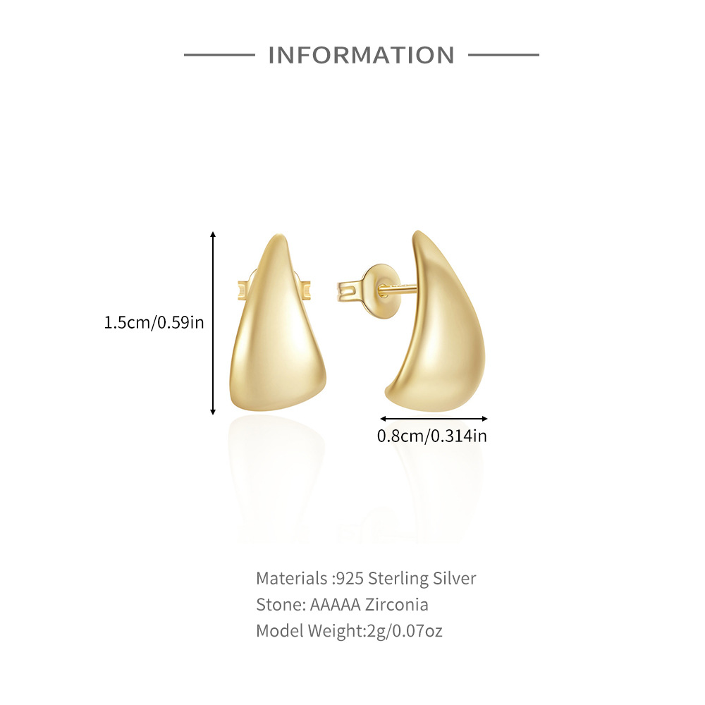 6g Weight 925 Sterling Silver Ear Needle Material Zircon Inlay Material Ear Studs Classification 1 Pair Quantity Daily, Street Occasion 925 Sterling Silver Material Geometric Pattern Women's Gender Plating, Inlay Design Simple Style Style 1 Pair 925 Sterling Silver Zircon Geometric Ear Studs 无