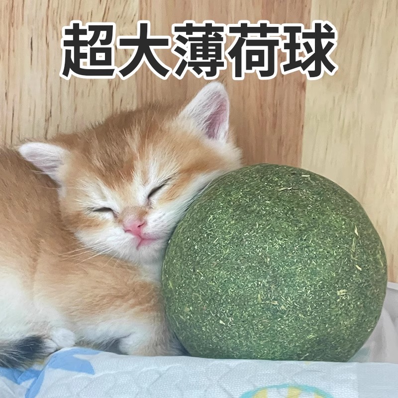 고양이 장난감, 초대형 고양이 민트볼, 새끼 고양이의 자기 자극 및 지루함 해소 도구, 치아 연삭 및 물림 방지 고양이 장난감, 애완용 고양이 장난감