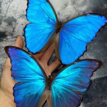 ������˱��[����չ���������x�˱����x�W���������նY��͸�����b