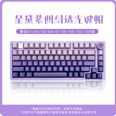 タランチュラ機械キーボード側刻キーキャップ側光透過PBT工場高さ136キー適合68hi7 5/hi8/F87