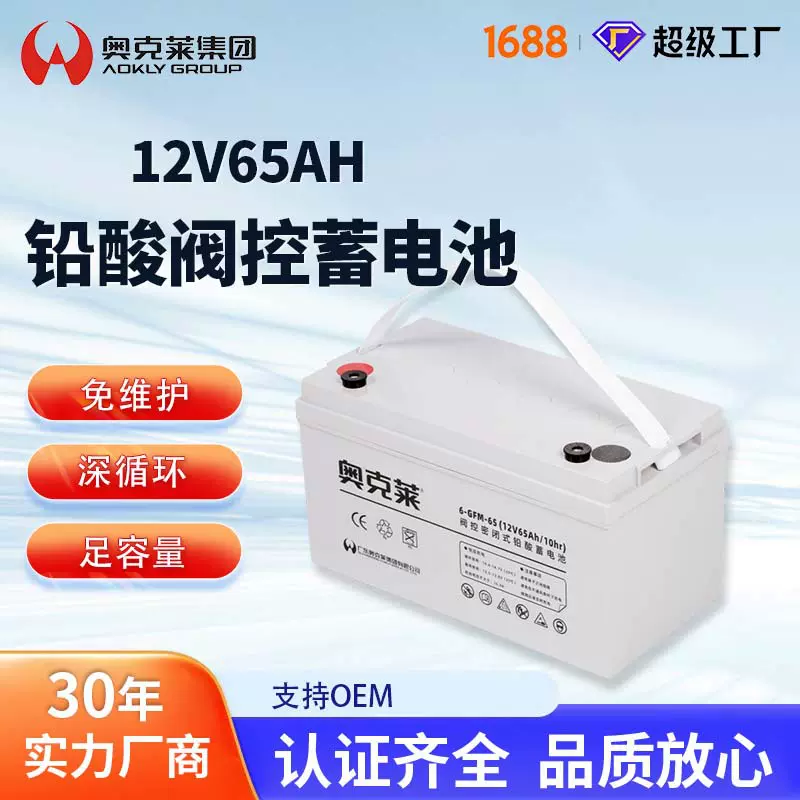 新款12V65AH 蓄电池ups消防医疗设备电源铅酸蓄电池