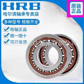 国产HRB轴承 哈尔滨高精密角接触轴承 HRB轴承机床配套专用