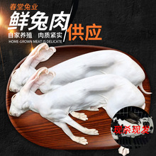 新鲜烫皮冷冻嫩兔肉带皮兔 带兔头整只5斤肉兔销售