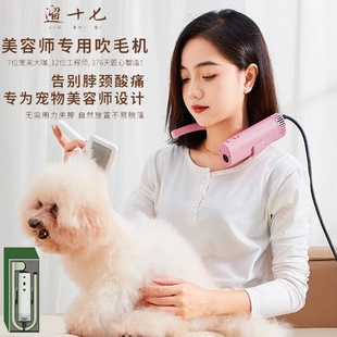��ʮ�ߌ��ﴵ�L�C������ë�C���L��ؓ�x���o��؈����ë�첱늴��L