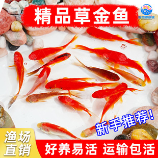 �ݽ��~�t���~�^�p�~С���~���~����~��ˮ�~�W�t�޹��~���w�[���~