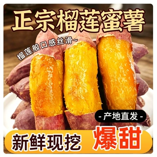 薯世佳正宗真榴莲蜜薯新鲜现挖黄心蜜薯软糯香甜沙地烤地瓜番薯