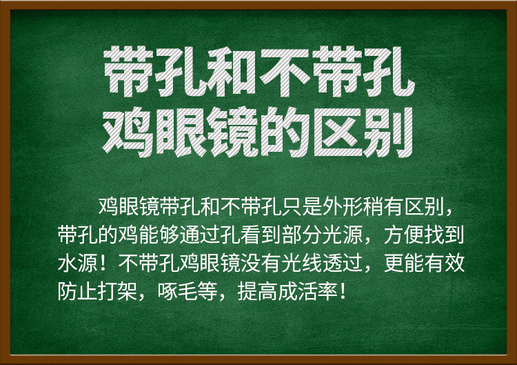 详情1_03.jpg