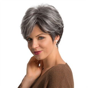 AliExpress wig female European and American fashion short straight hair black and white dyeing mixed color chemical fiber short hair full head cover factory outlet