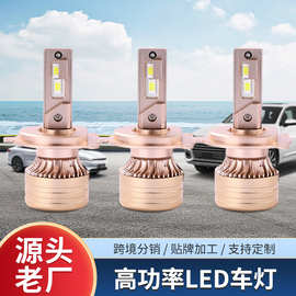 TP-H4高功率车灯双灯款土豪金色系车灯前照灯现货批发即插即用